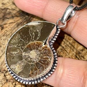 Earthy Ammonite Pendant 2”